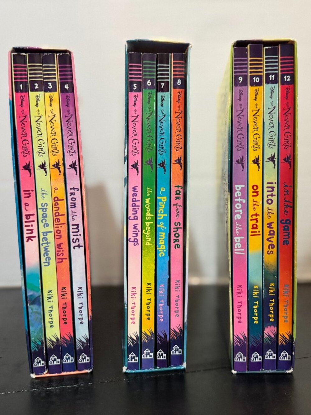 The Never Girls Collection #1-3 (includes 12 paperback books) - Minimal Use!